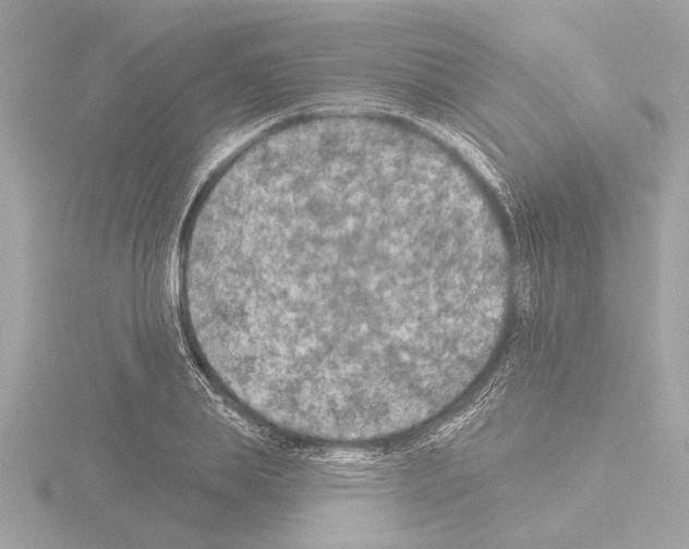 X0000115490839200912181401