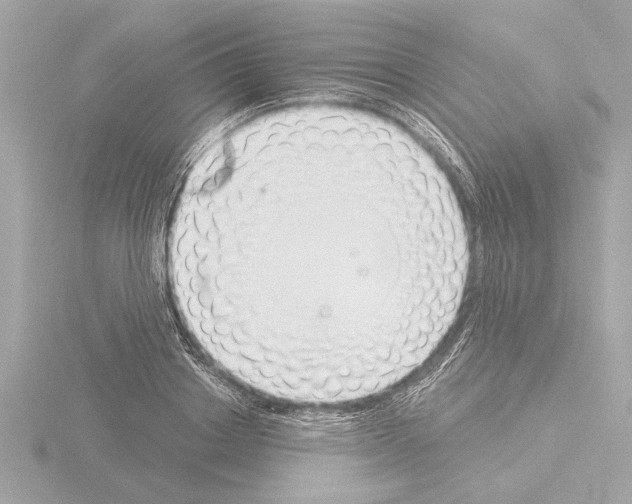 X0000115490842200912181401