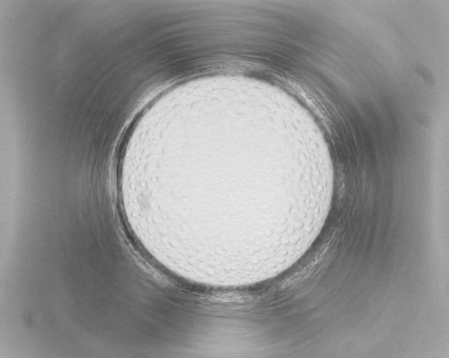 X0000115490843200912181401