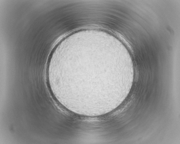 X0000115490845200912181401