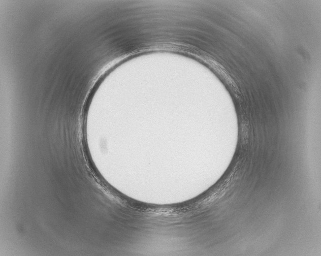 X0000115490846200912181401