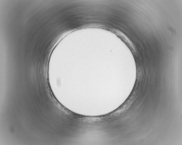 X0000115490860200912181401