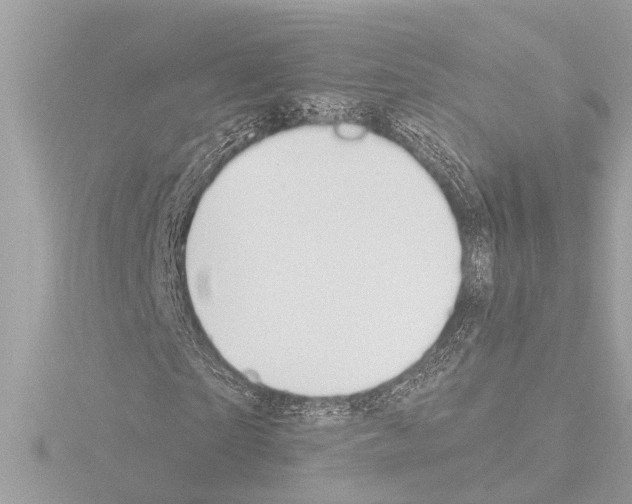 X0000115490865200912181401