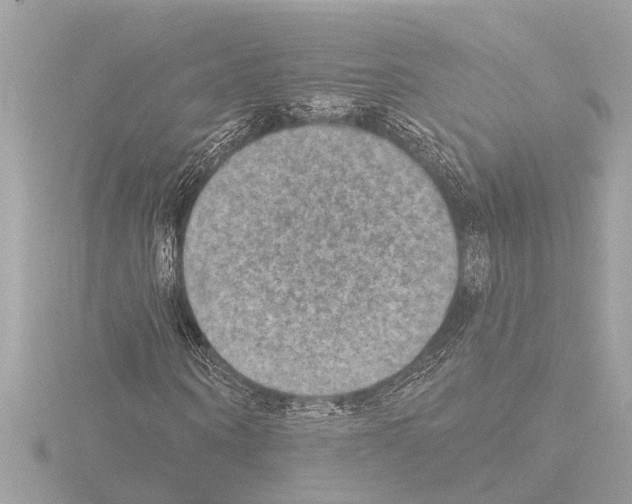 X0000115490866200912181401