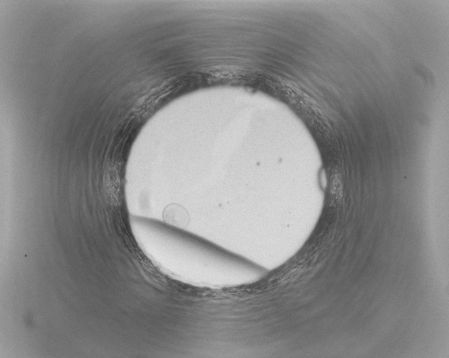 X0000115490868200912181400