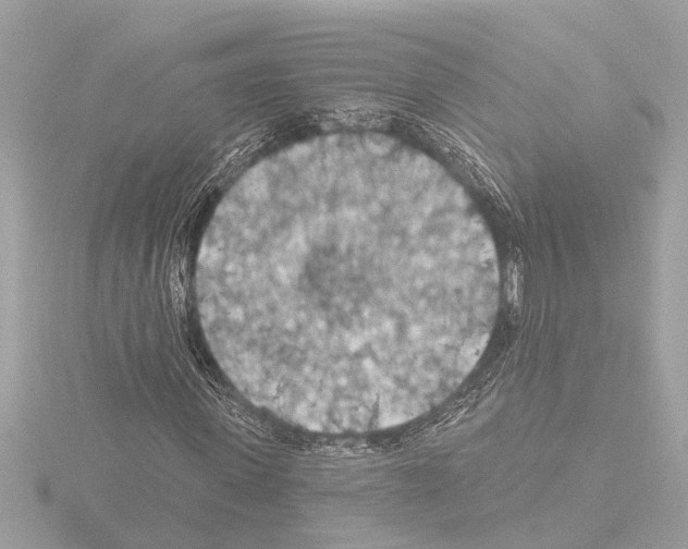 X0000115490915200912181359