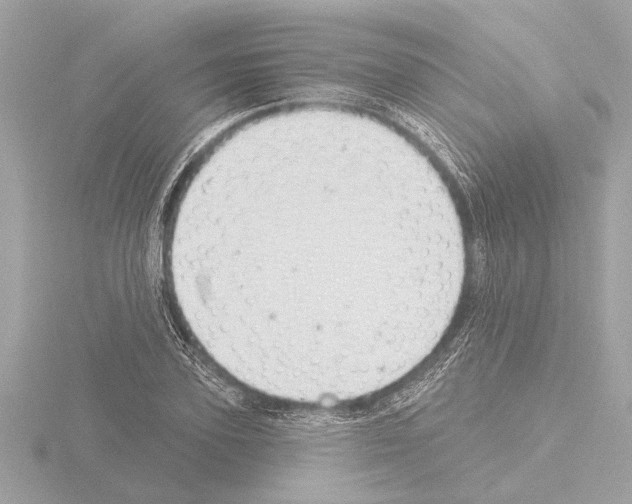 X0000115490931200912181359