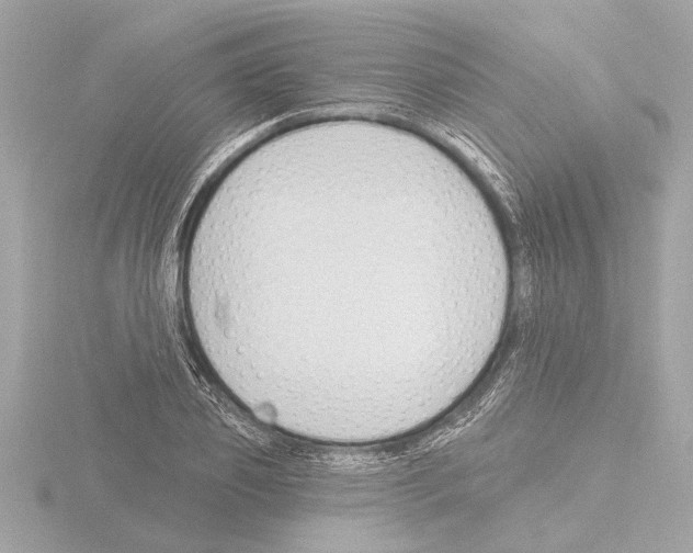 X0000115490933200912181359