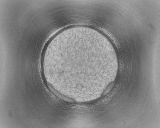 X0000115490935200912181400