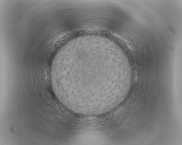 X0000115490966200912181359