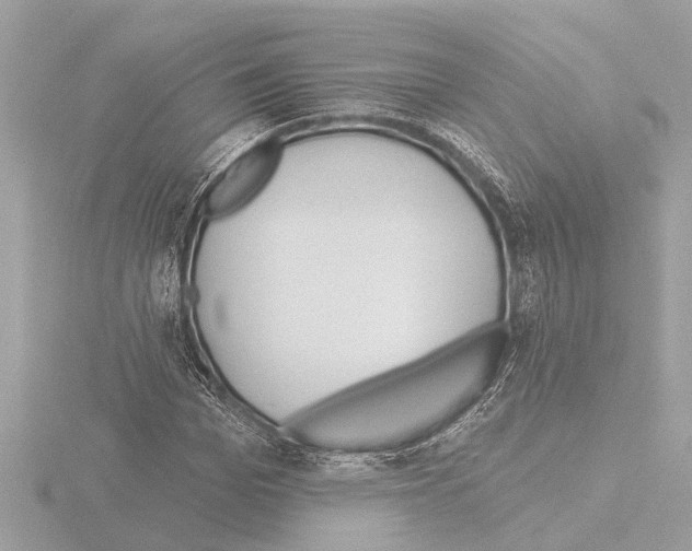 X0000115490969200912181359