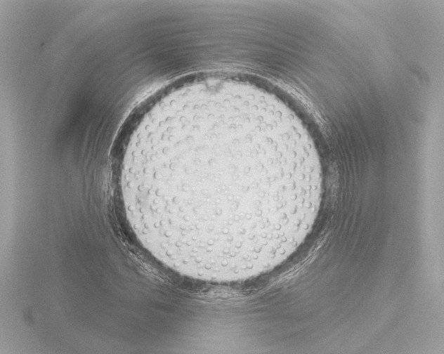 X0000115490974200912181359