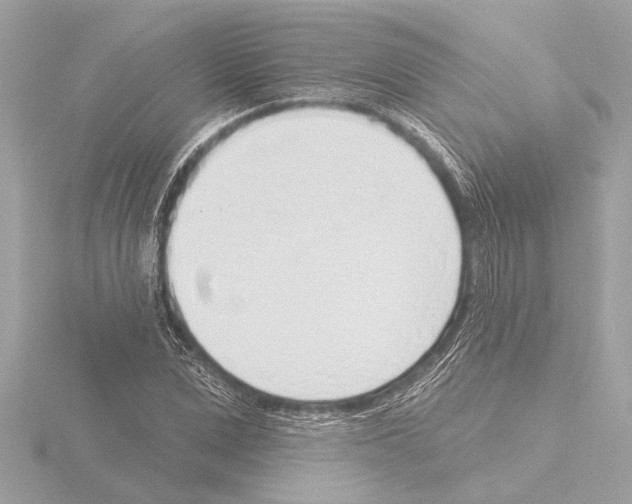 X0000115490975200912181359
