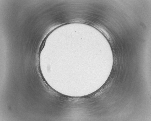 X0000115491000200912181359