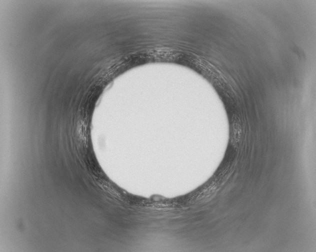 X0000115491010200912181358