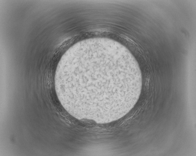 X0000115491014200912181358
