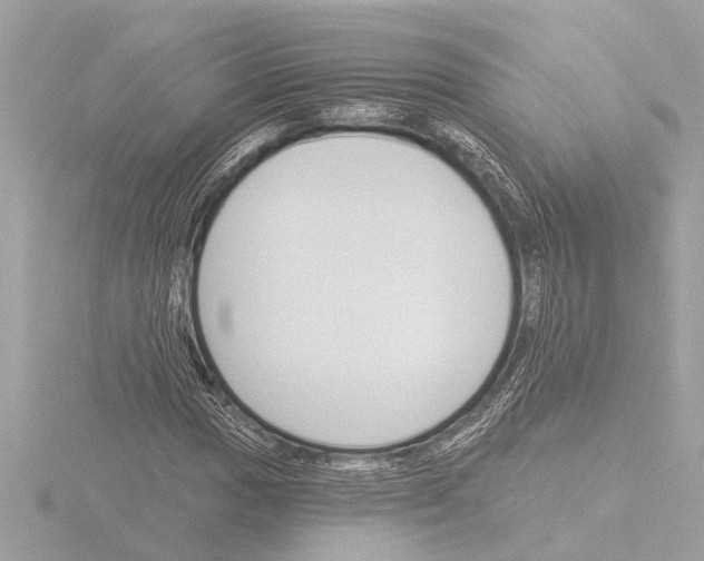 X0000115491017200912181358
