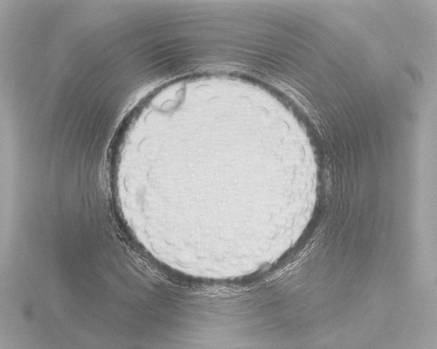 X0000115491022200912181358
