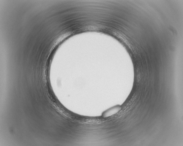 X0000115491026200912181358