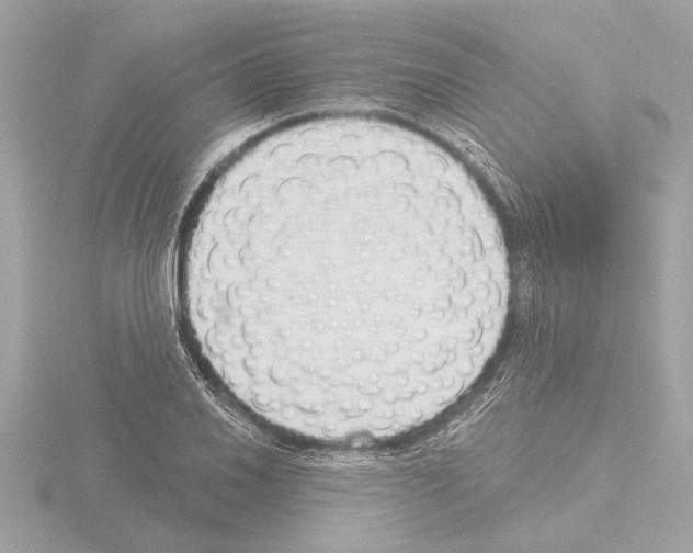 X0000115491030200912181358