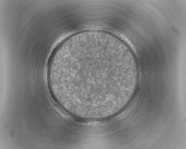 X0000115491035200912181358
