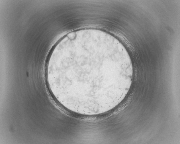 X0000115491038200912181358