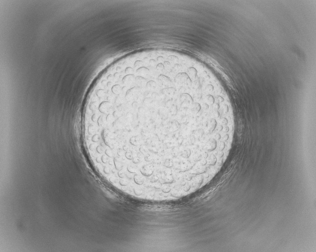 X0000115491040200912181358