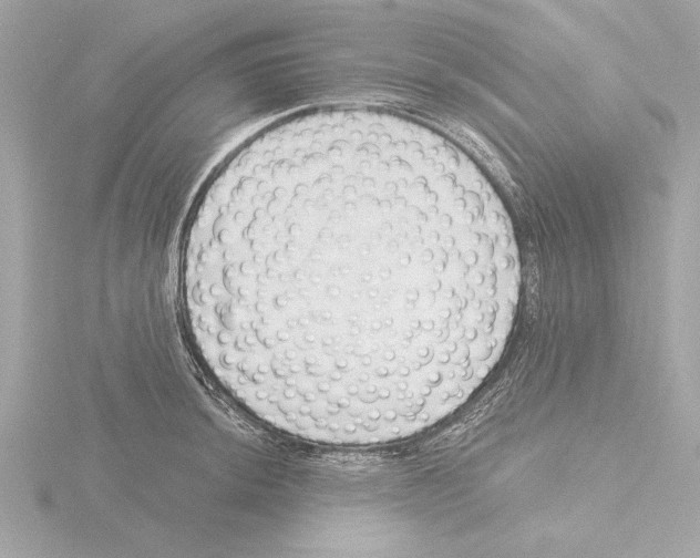 X0000115491044200912181358