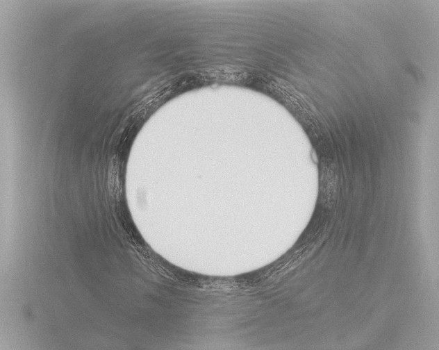 X0000115491058200912181358