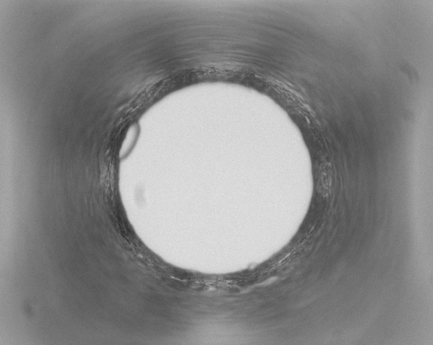 X0000115491061200912181358