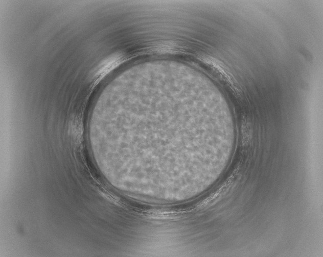 X0000115491065200912181358