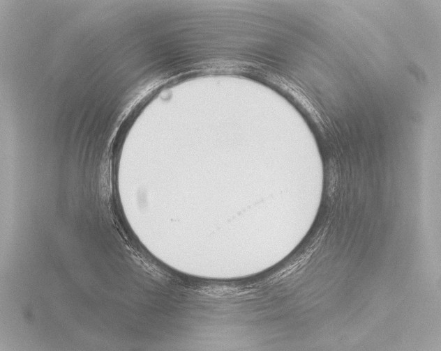 X0000115491075200912181358
