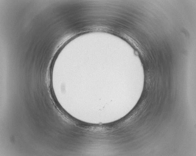 X0000115491082200912181358