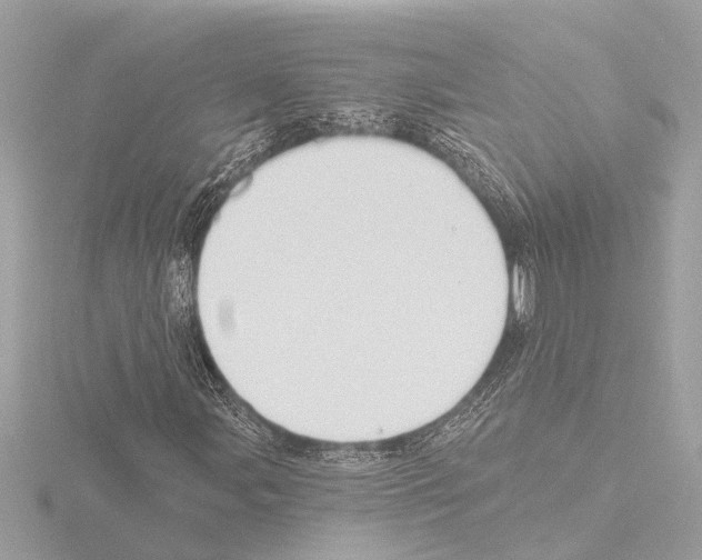 X0000115491107200912181357