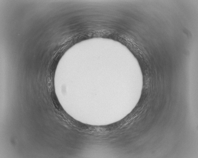 X0000115491109200912181357