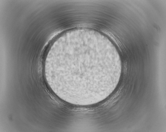 X0000115491115200912181357