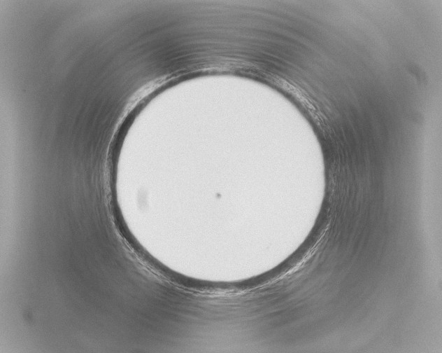 X0000115491122200912181357