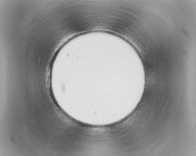 X0000115491126200912181357