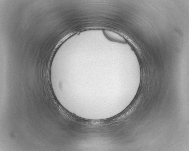 X0000115491145200912181357