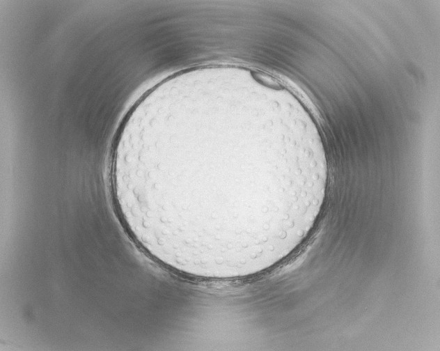 X0000115491149200912181357