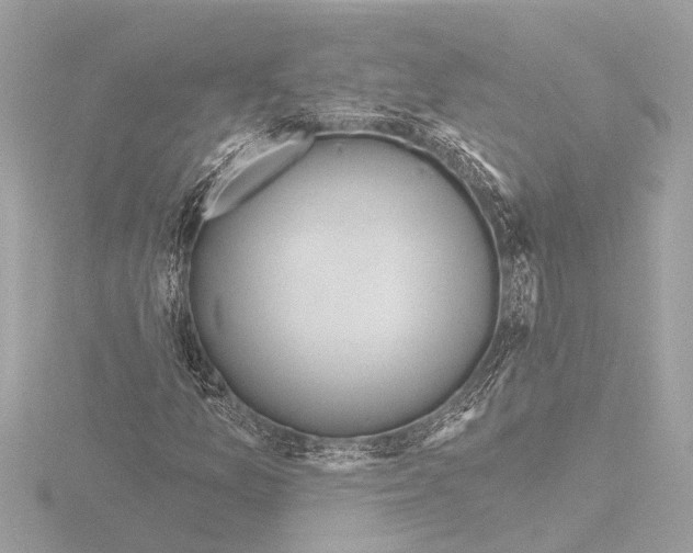 X0000115491157200912181356