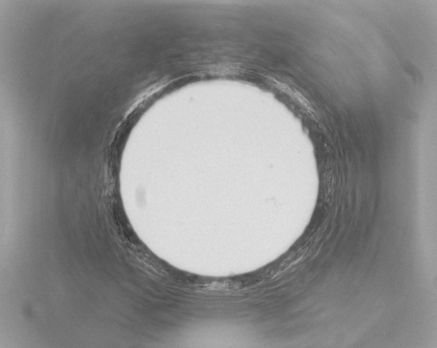 X0000115491160200912181356