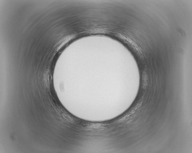 X0000115491162200912181356