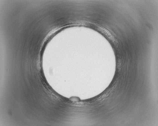 X0000115491172200912181356