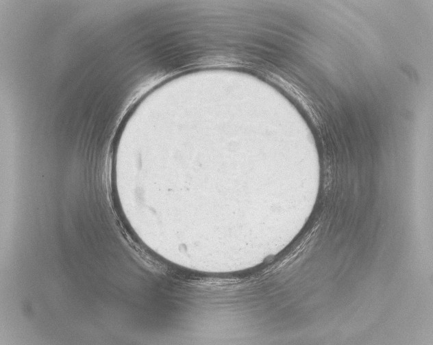 X0000115491179200912181356