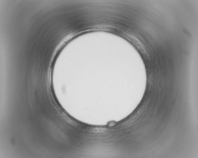 X0000115491180200912181356