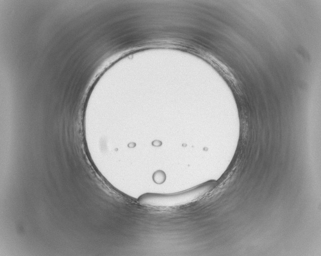 X0000115491192200912181356