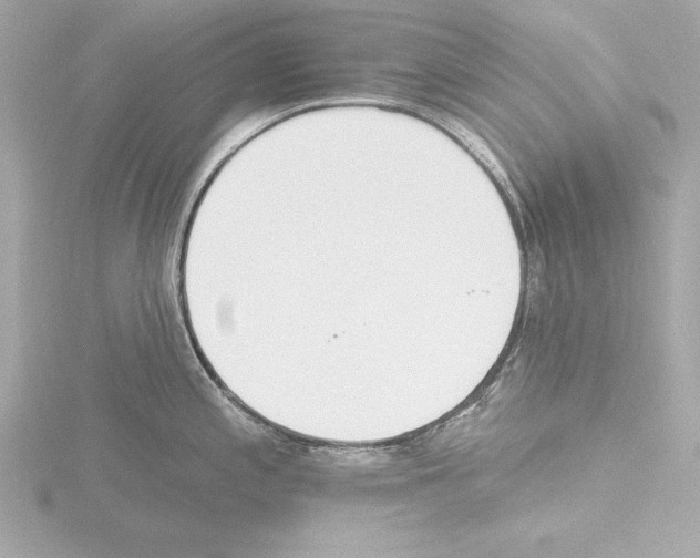 X0000115491197200912181356