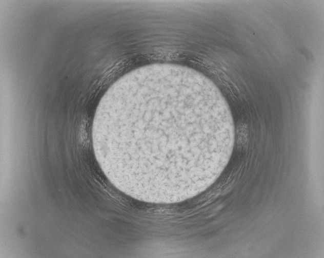 X0000115491202200912181355
