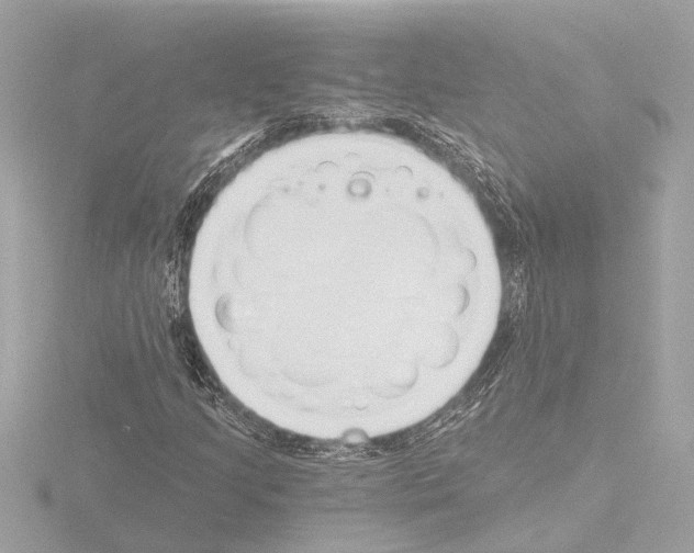 X0000115491205200912181355